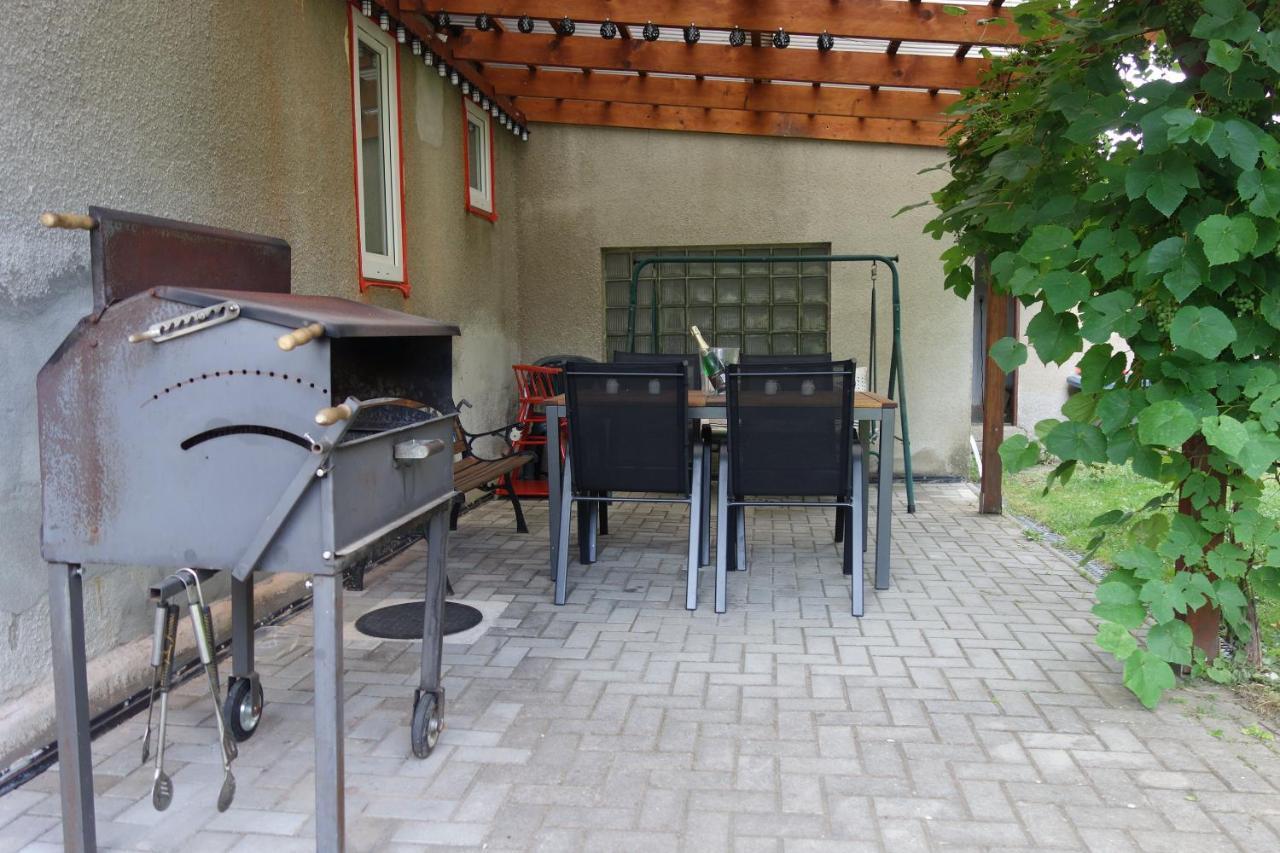 Pod Chlumem - útulný byt v blízkosti centra s terasou a grilem Decin Exterior foto
